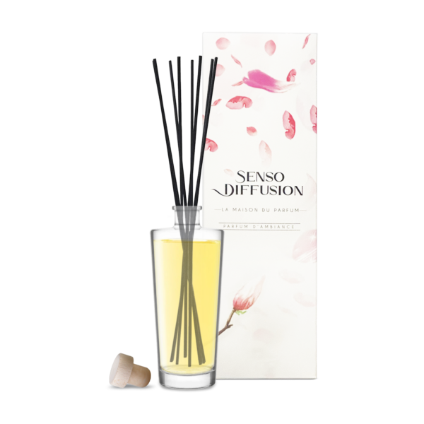 Diffuseur Bâtonnets + 1 Parfum à choisir